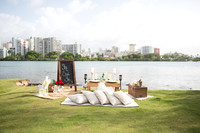Picnic and Surprise Engagement